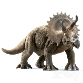 Best of the week triceratops